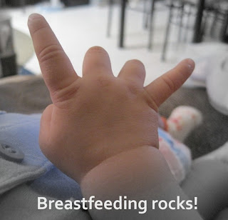 The Exclusive Breastfeeder